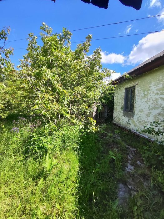 Перспективний будинок 46м2 на Масанах. Ділянка 21 сотка біля лісу/SZ