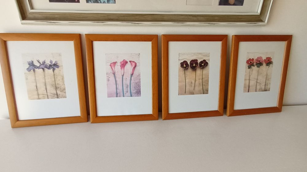 Conjunto de 4 gravuras