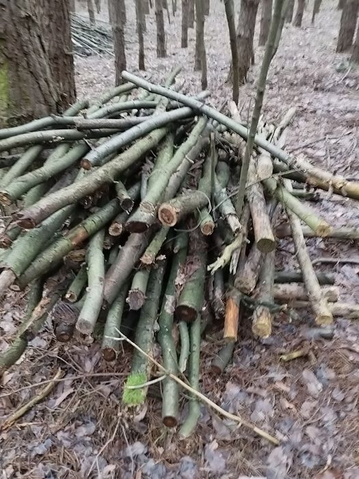 Gałęziówka mix (sosna, czeremcha, brzoza) opał