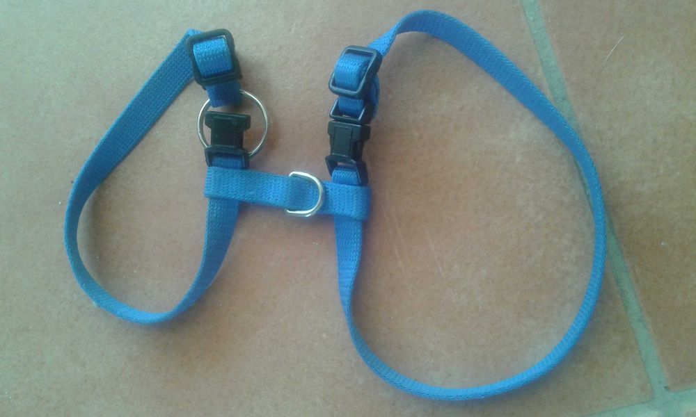 Vendo peitoral para gato