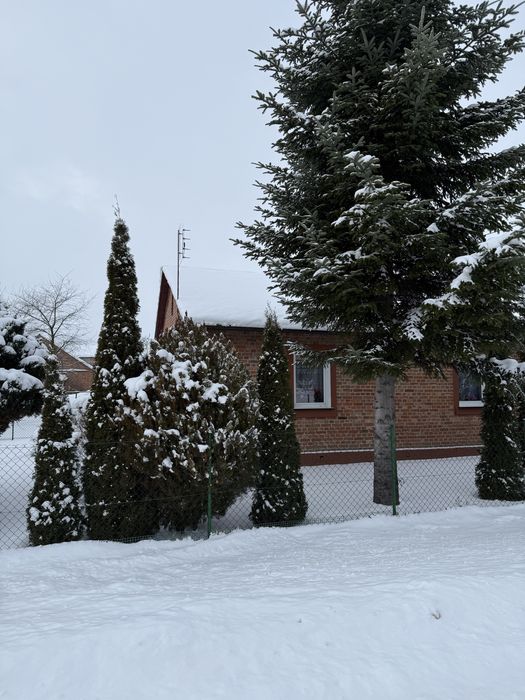 Dom  -siedlisko z bud gospodarczymi w miejscowości Żabno gmina Turobin
