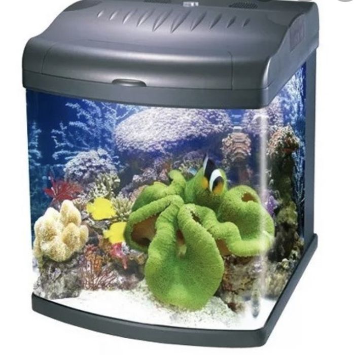Aquario panoramico  80L