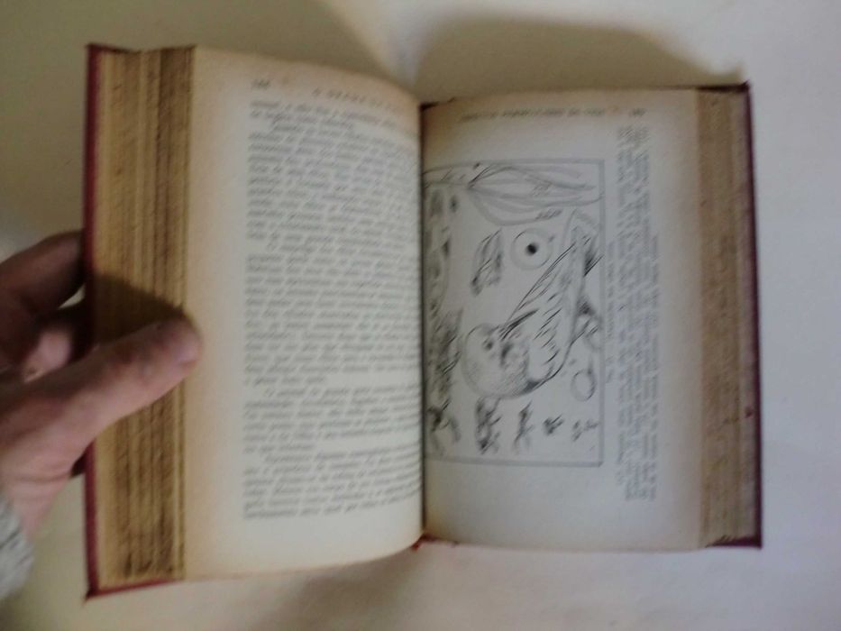 A Ciência da Vida de H. G. Wells, Julian Huxley e G. P. Wells