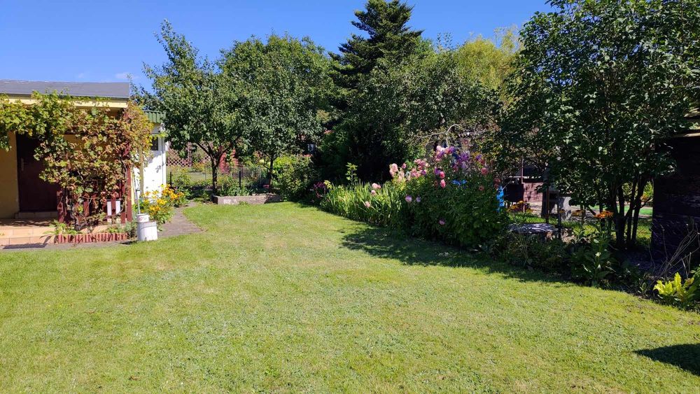 Sprzedam działkę ogrodową ROD