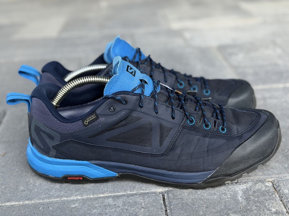 кросівки Salomon X Alp Spry GTX  sz 44