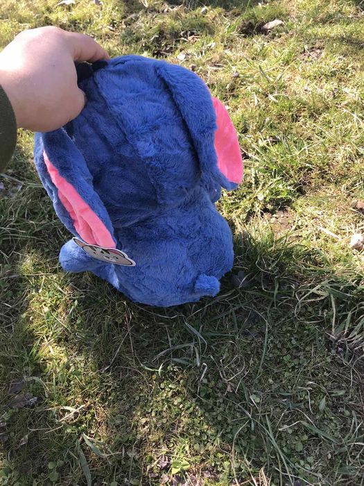 Топові м'які ігрушки