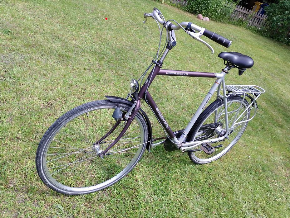 Batavus Intermezzo: idealny holender dla wysokich osób