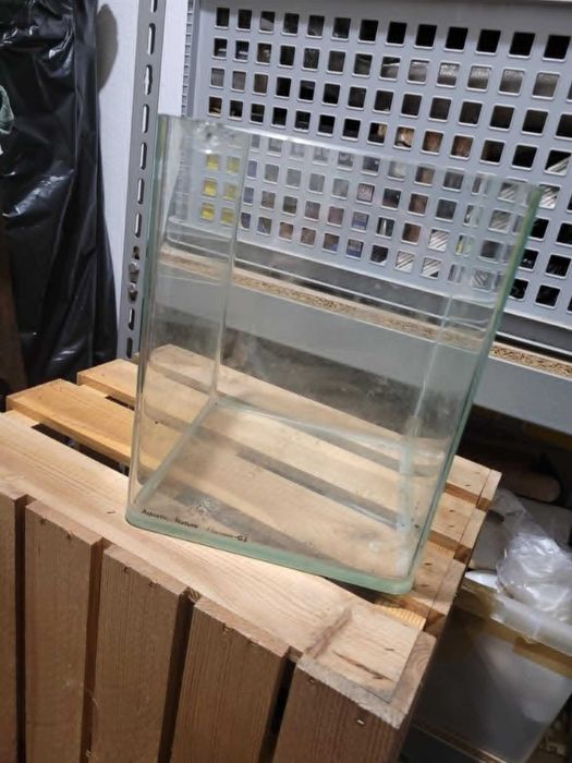 Akwarium opti white zaokrąglone brzegi 10 L