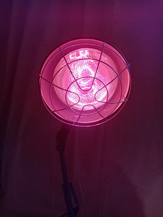 Lampa lecznicza / grzewcza/ podczerwień
