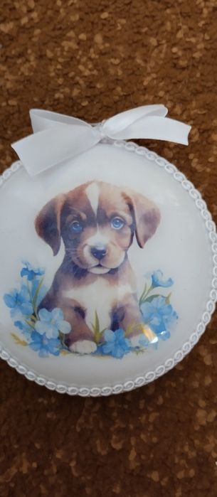 Piesek wśród niezapominajek