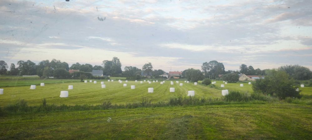 Usługa prasoowijarką. Koszenie traw kosiarkami dyskowymi, zgrabianie.
