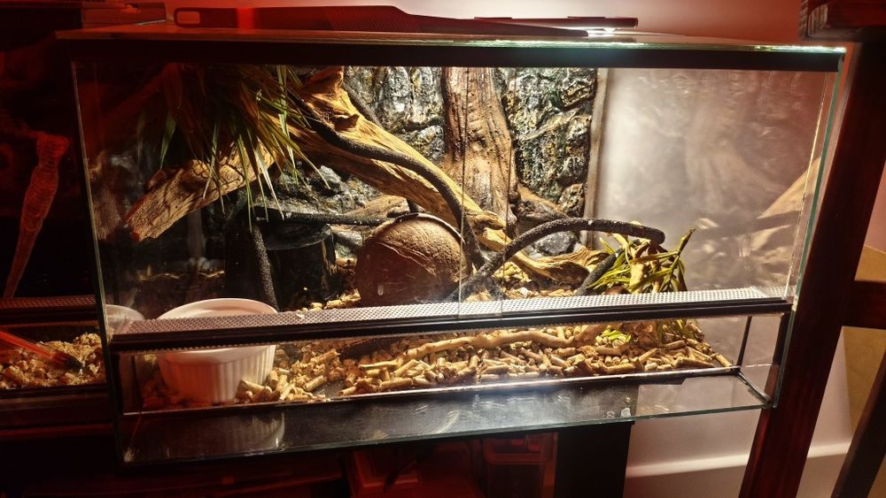 Terrarium po wężu 40x50x30 wysokości