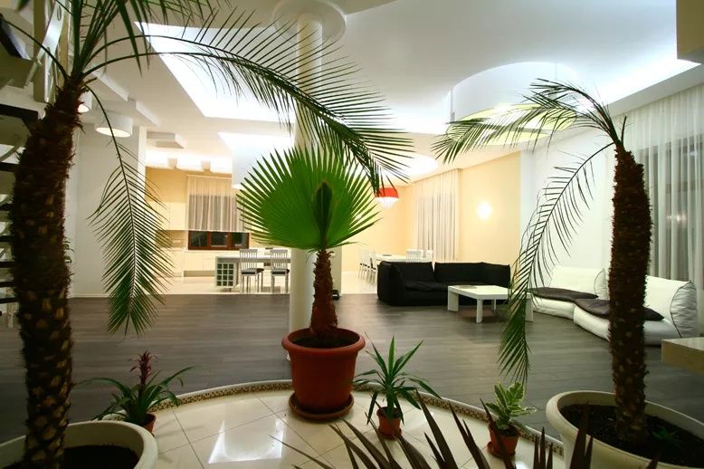 Будинок подобово з сауною, Аркадія, до 20 осіб!