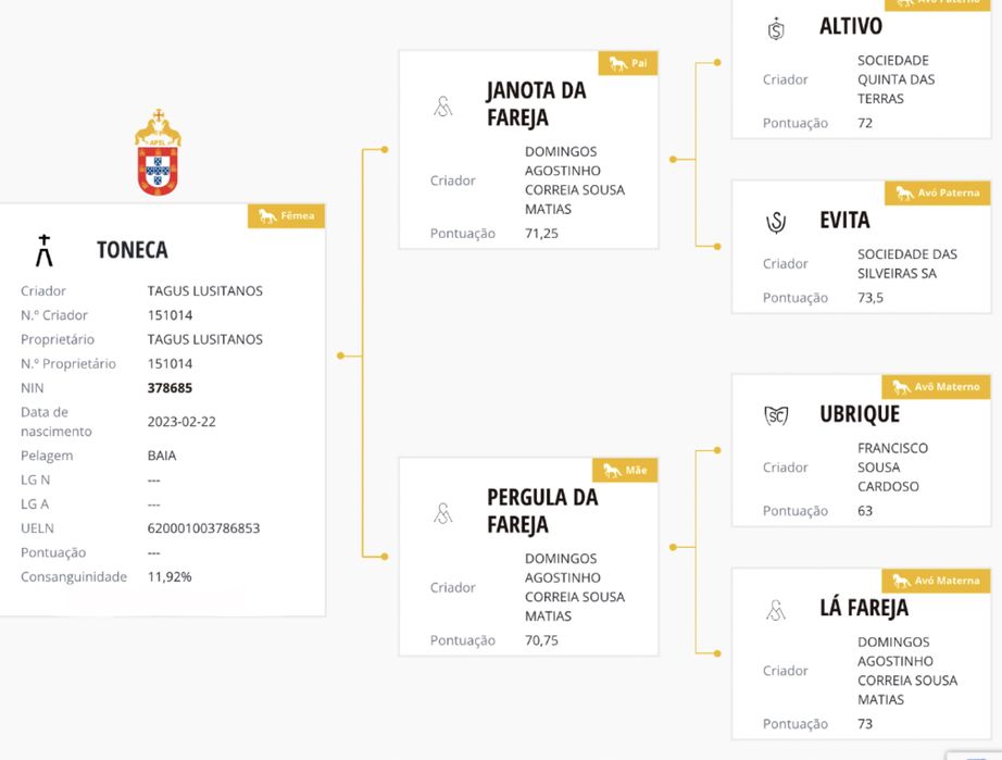 Poldra Lusitana 2 anos Excelente Linha