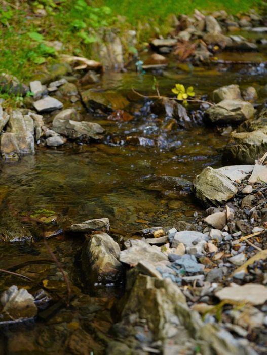 Ділянка в Карпатах біля річки ( Кривопільський перевал )