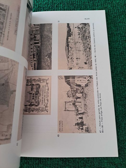 O Palácio dos Arcos - Meio Milénio - Rogério de Oliveira Gonçalves