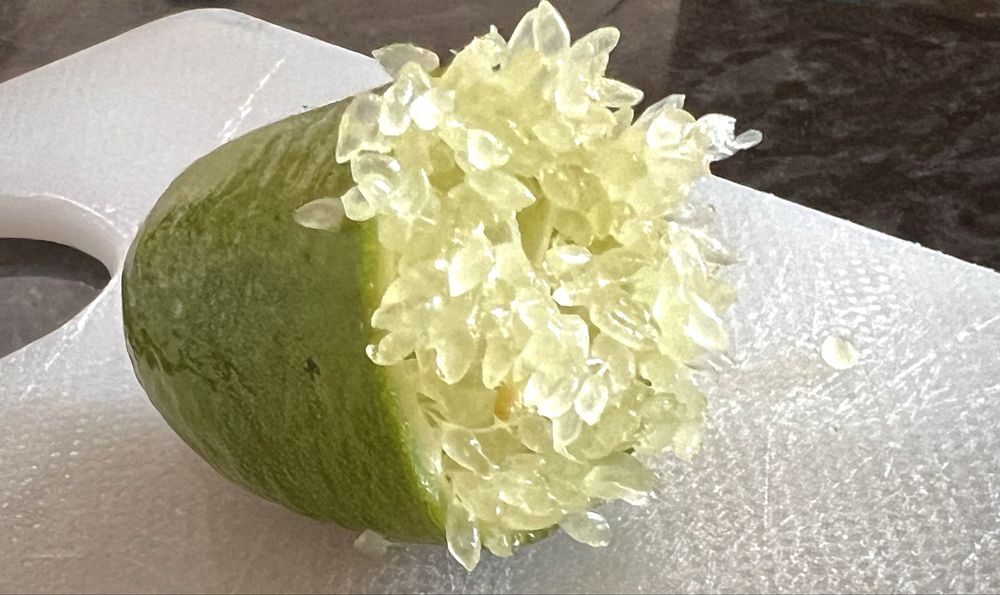 Vendo fruto Limão Caviar Verde | ao Kg ou unidade