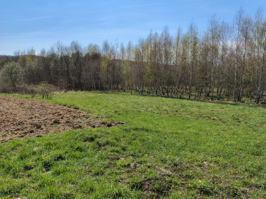 Działka na sprzedaż