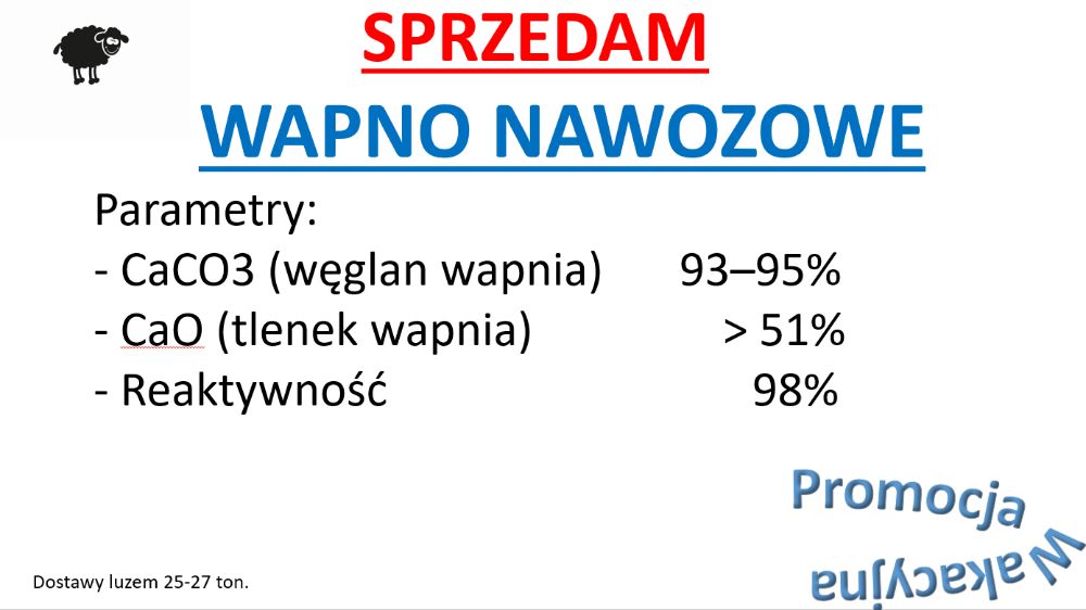 Wapno z dostawą - Świetna jakość, dobra cena.