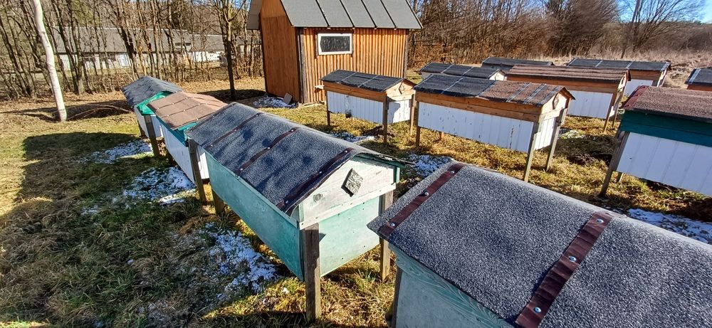 Продам апі хатинку і вулики