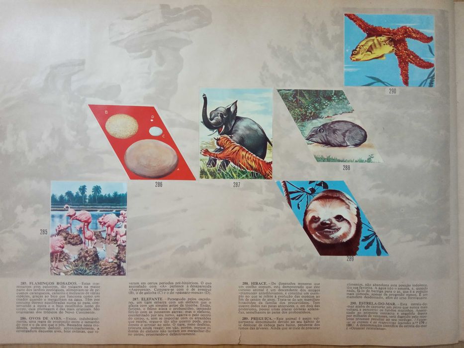 Caderneta de cromos completa Segredos do Mundo Animal