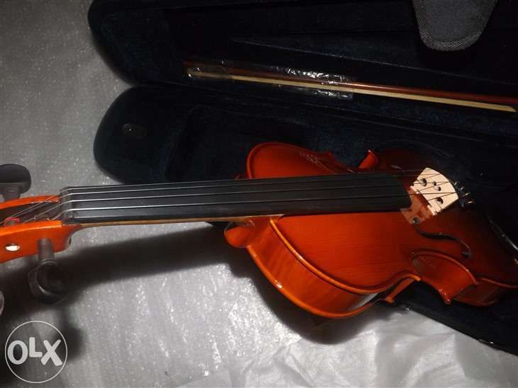 Viola64309595325697122