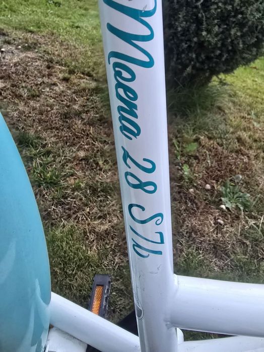 Rower Miejski Indiana