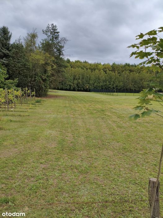 Działka budowlana 4000 m² w spokojnej okolicy