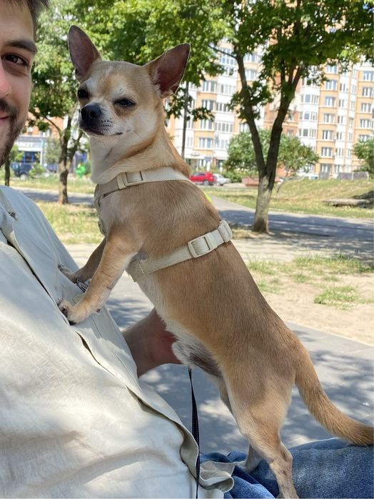 Чудовий хлопчик для вʼязки