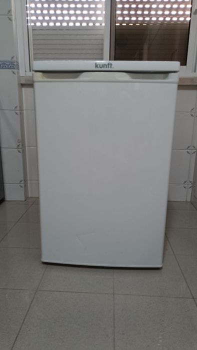 Arca congeladora + Frigorífico
