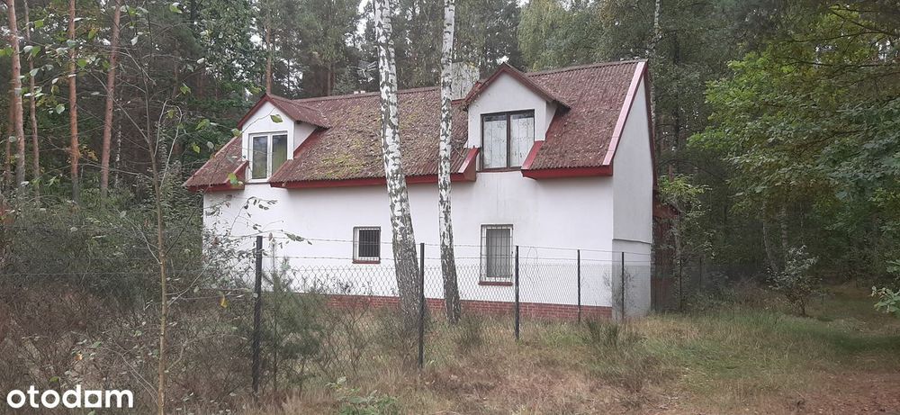 Dom/ Siedlisko z lasem 7470 m2