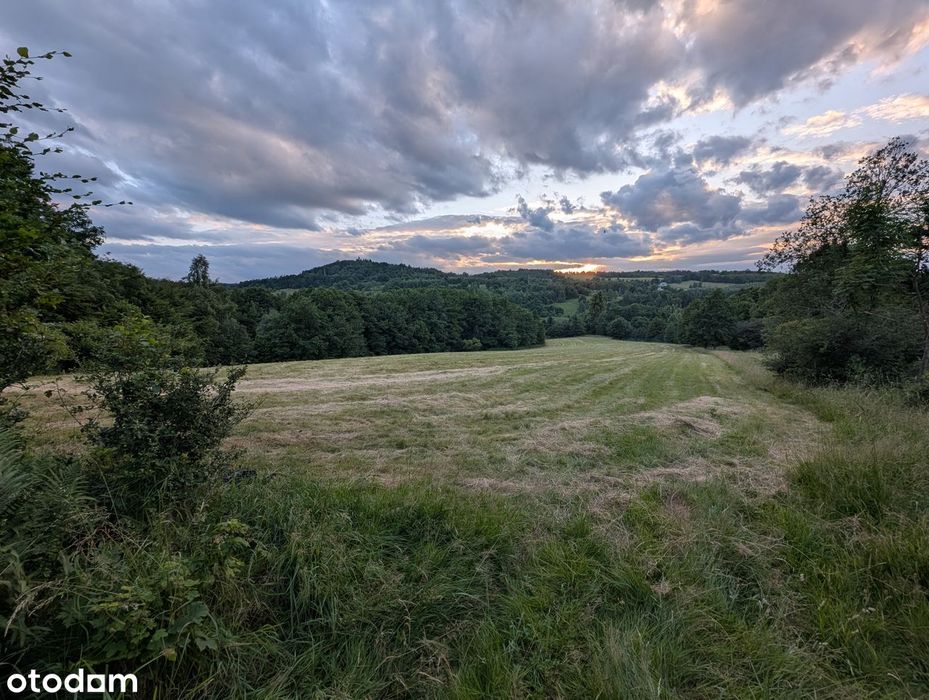 2 działki (0,96+0,46ha) pod wymarzony dom lub agroturystkę, las,  góry