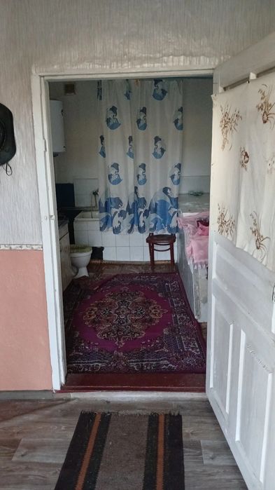 Продам будинок в с. Перельоти
