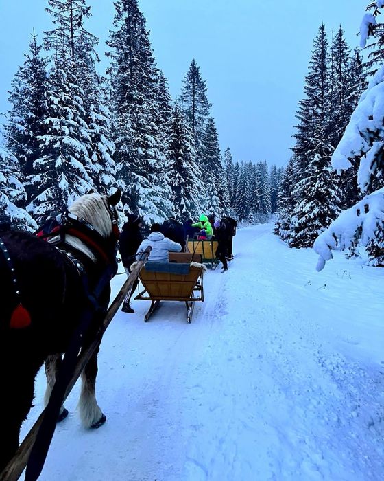 DOM dla 10 osob z jacuzzi pod Babią Górą, SYLWESTER, święta, ferie zimowe, beskid żywiecki, tatry, noclegi