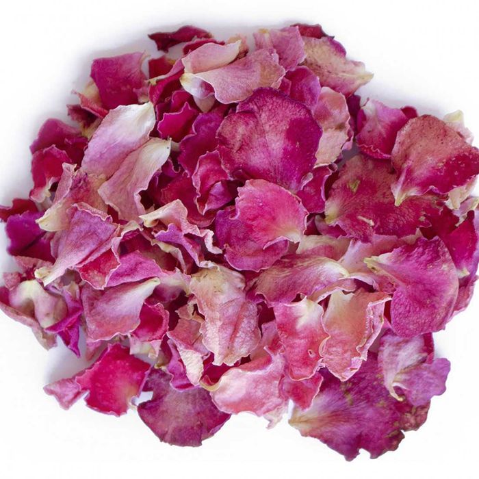 Rosa de Rescht e Rosa Damascena para Culinária Planta Viva - Évora