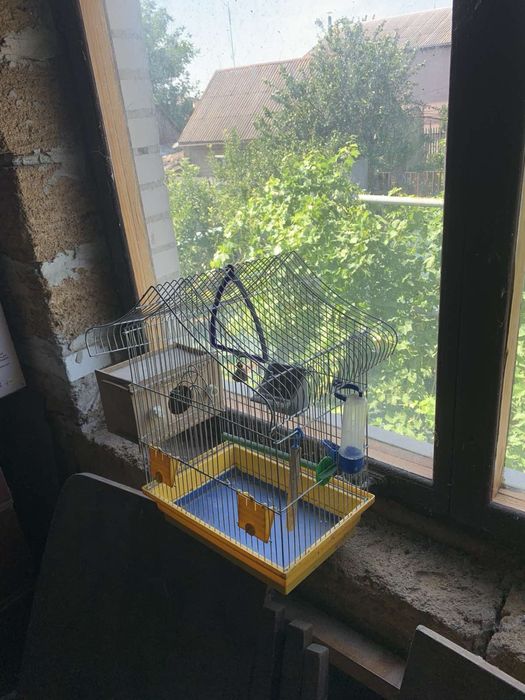 клітка для птахів