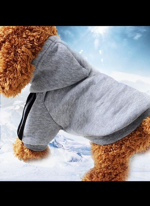 Одежда для домашних животных