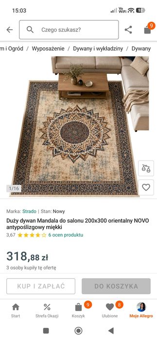 Dywan do Salonu cienki i sliski