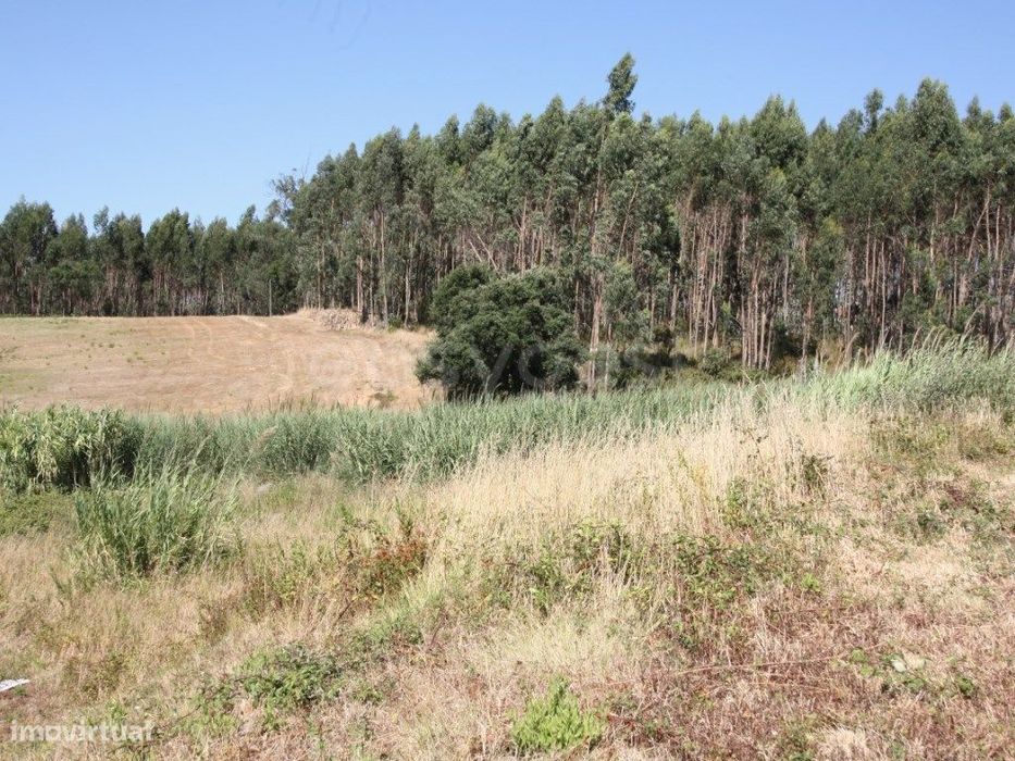 Terreno para construção em Casal do Rei - Rio Maior / Caldas da Rainha