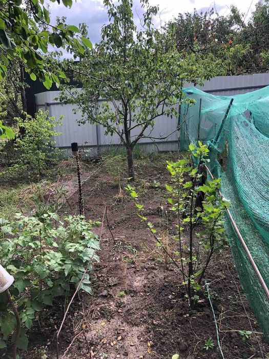 Продам дачу в черте города, Космический район