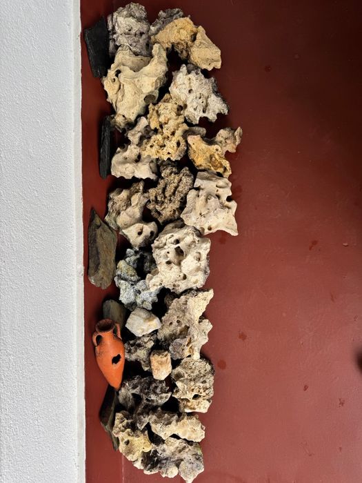 Rochas calcarias
