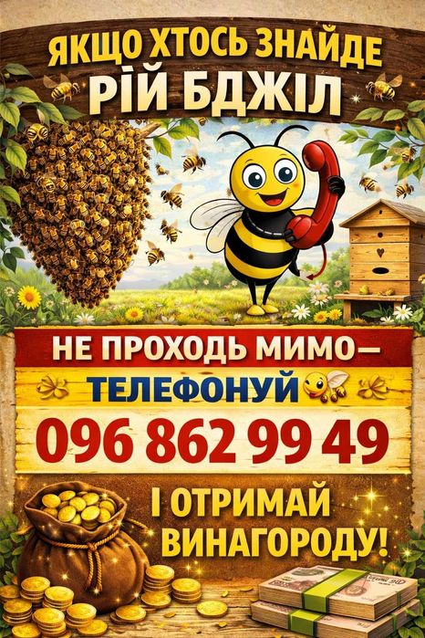 Зніму рій бджіл.