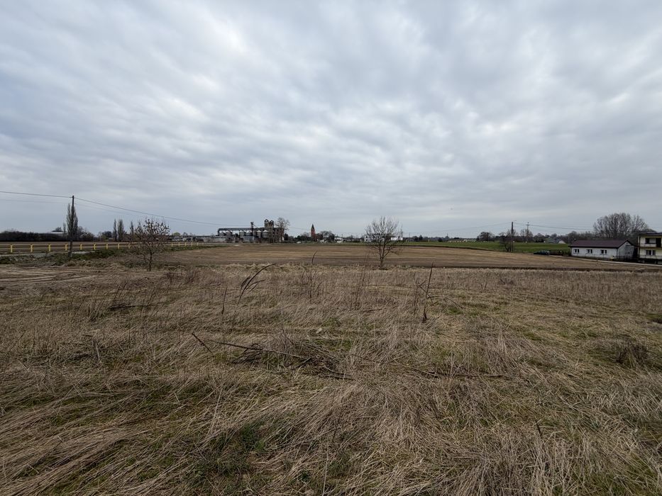 Duża działka budowlana na terenie Lubrańca - okazja cenowa!