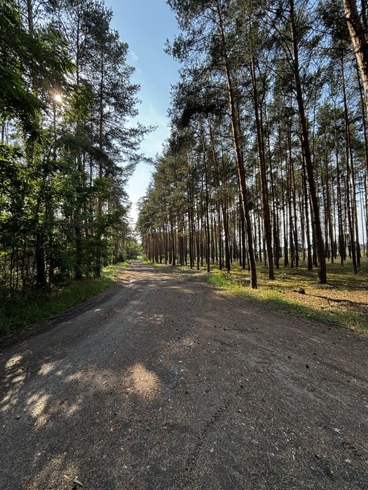 Działka leśna MPZP 2700m2 Leśniów Wielki