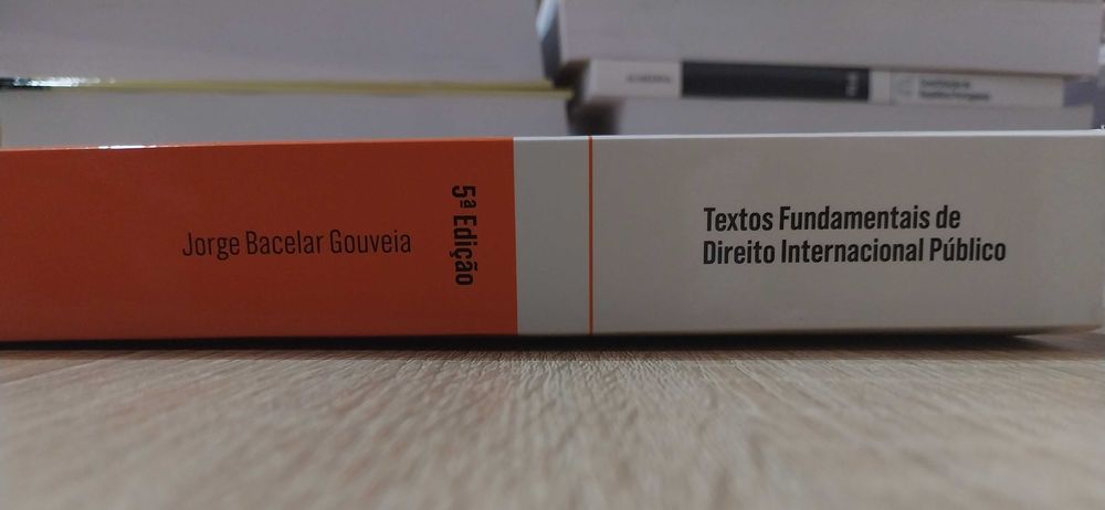 Livro Textos Fundamentais de Direito Internacional Público