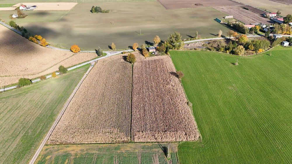 Siedlisko wraz z działką