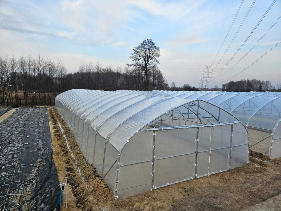 tunel foliowy  konstrukcja tunelu 7 x 30 gotyk