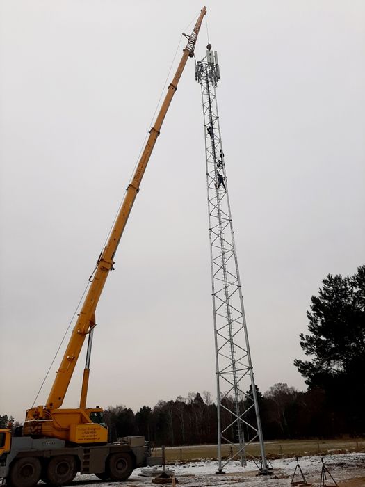 Wynajem, usługi dźwigowe, żuraw do 50 ton