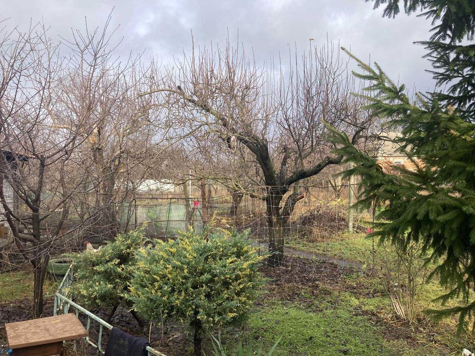 Єксклюзив! Продам будинок Одеська, вул Коновалова Od4