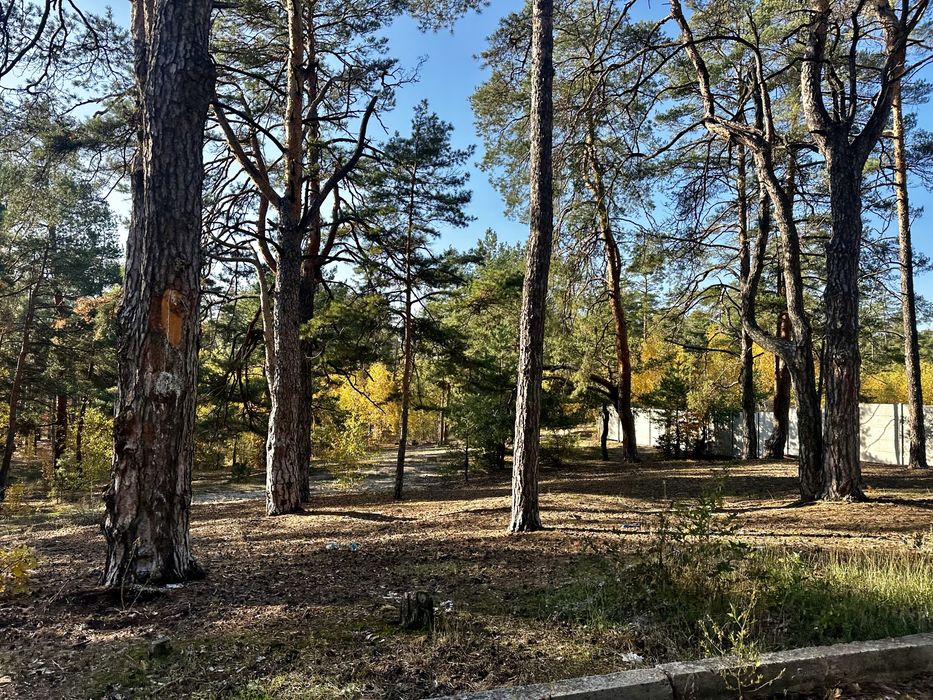 Ділянка під будівництво Ірпінь 10 Лінія в соснах 10 соток